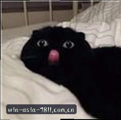 孙哥